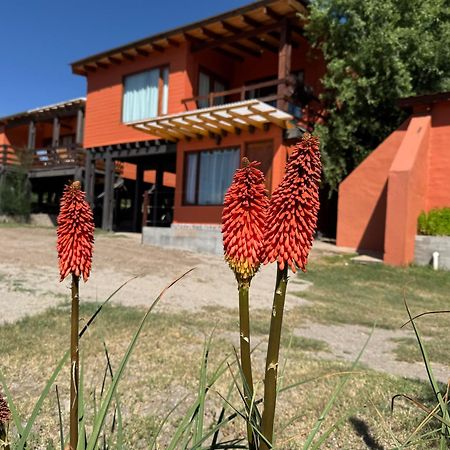 Cabana El Churqui Tafí del Valle Екстериор снимка