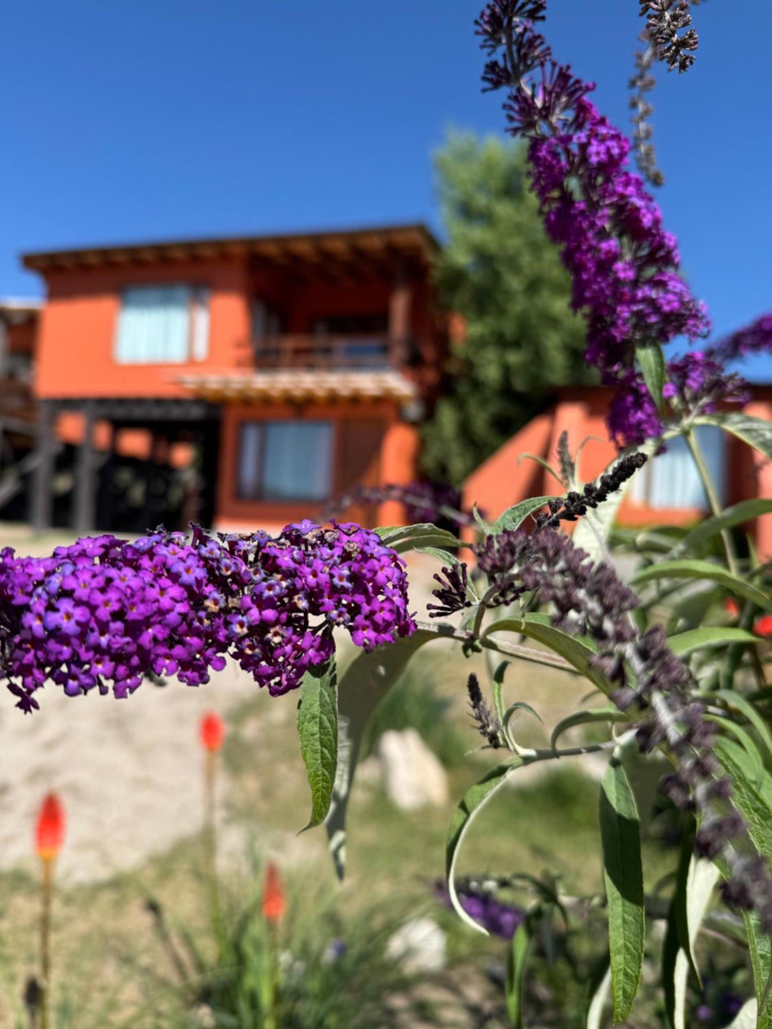 Cabana El Churqui Tafí del Valle Екстериор снимка